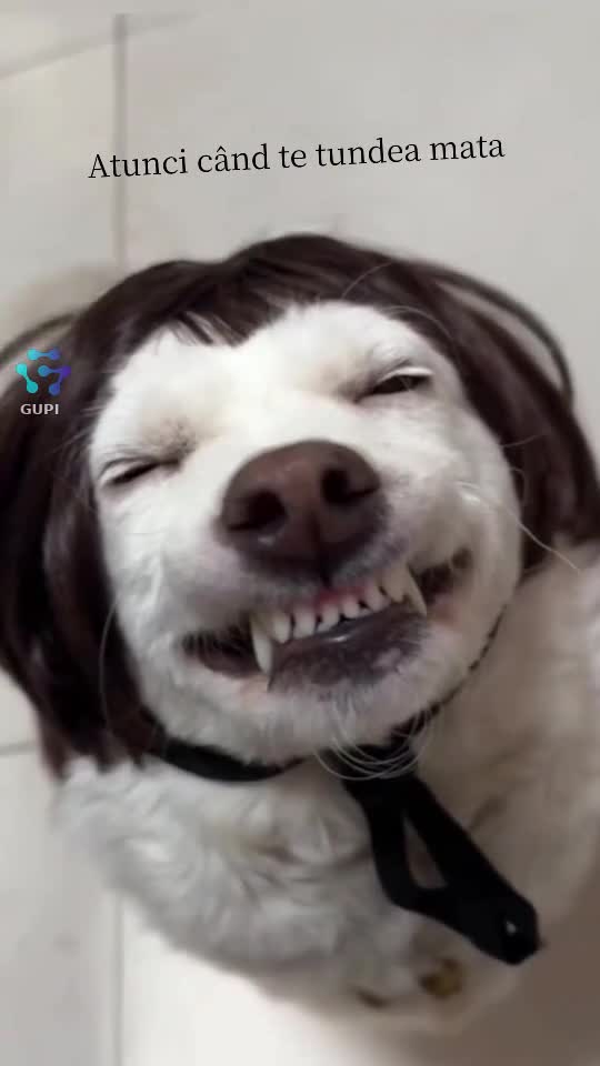 😃😃😃atunci cand te tundea mata