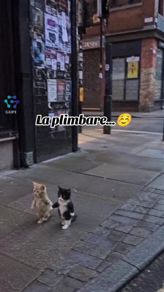 la plimbare...😁☺️☺️