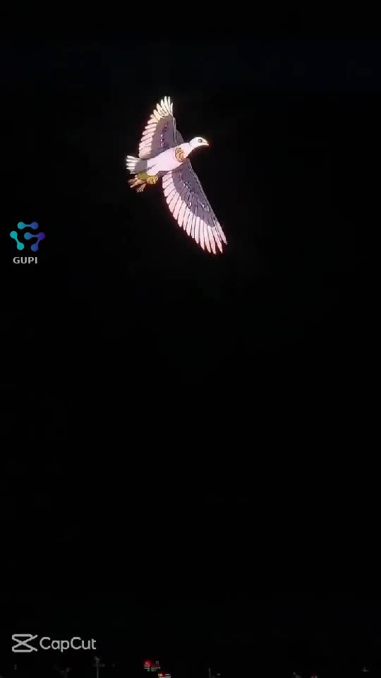 Video de @berki71