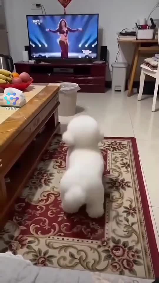 😃👍