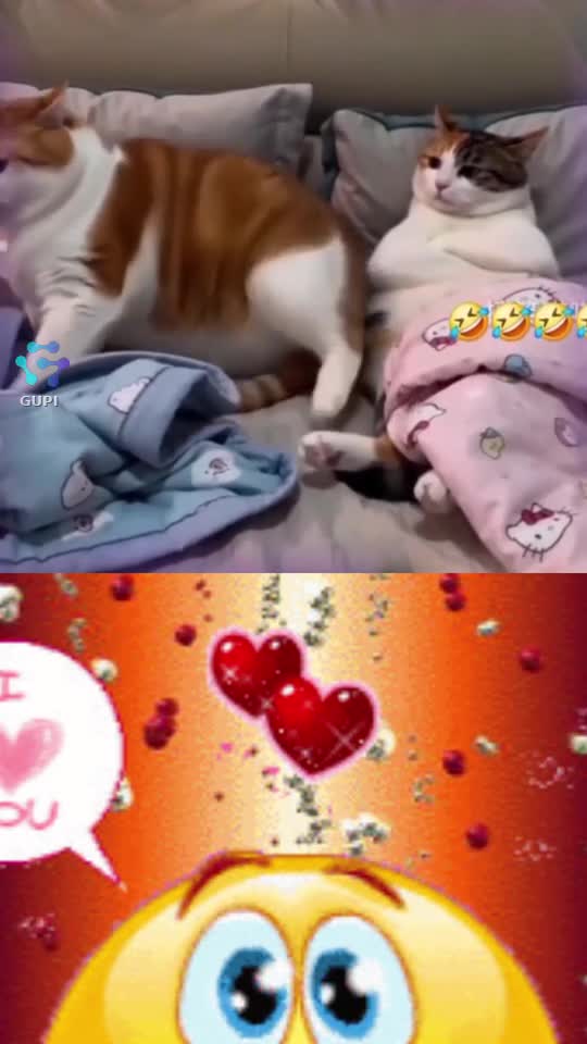 Video de @gupiuser110446