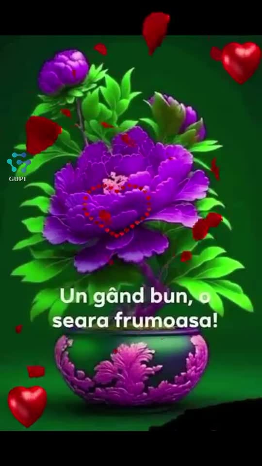 Video de @gupiuser157697