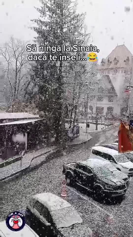 🆘Vezi!? Nu te-am mințit...🫣😂😂😂🫶🫶♥️
          @IM_A_Ady