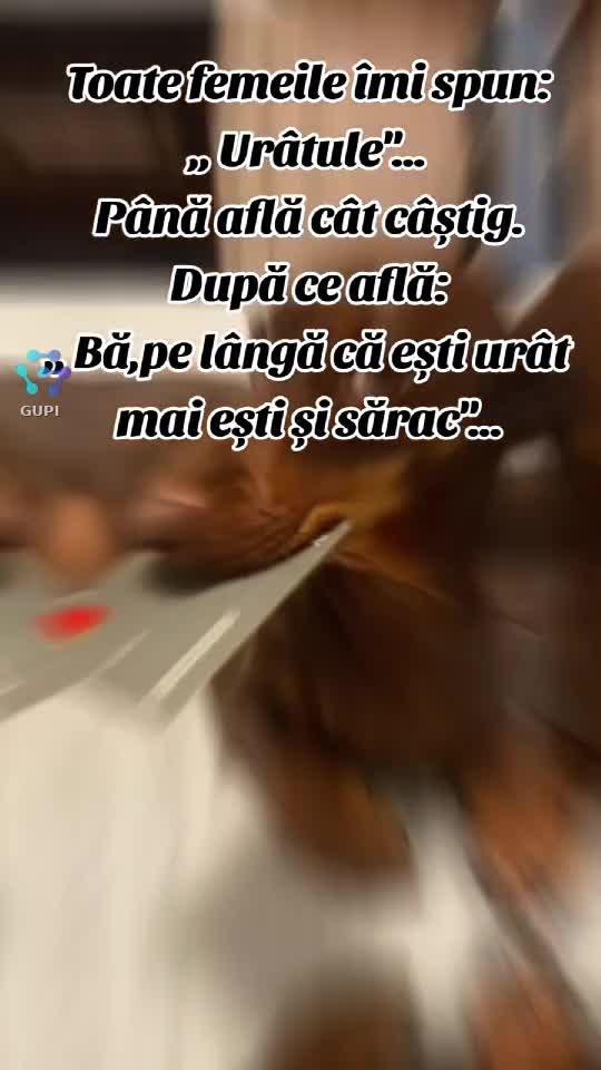 Video de @gupiuser144503