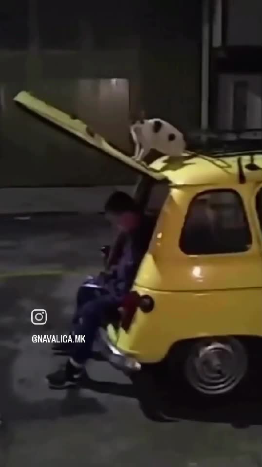 Video