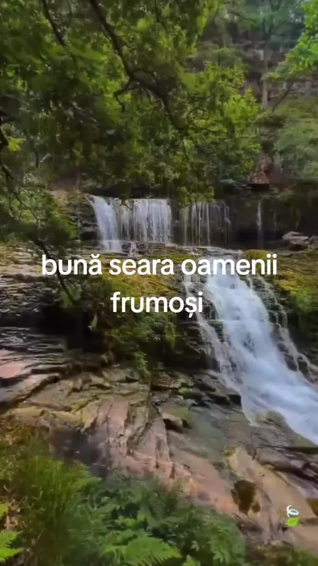 Video de @gupiuser39554