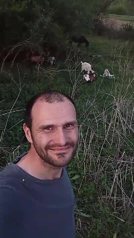 la pădure cu capritele și măgăruși