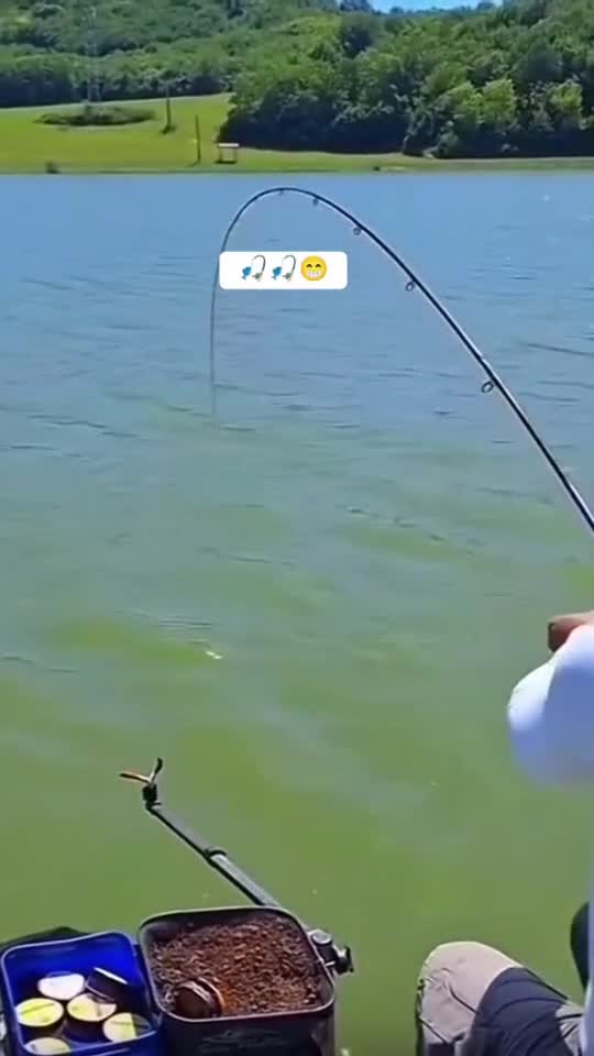 #funnyvideo