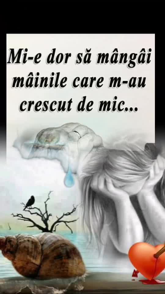 sã vã odihnească în pace părinții mei frumoșii!!😭
#♾️ninela♾️