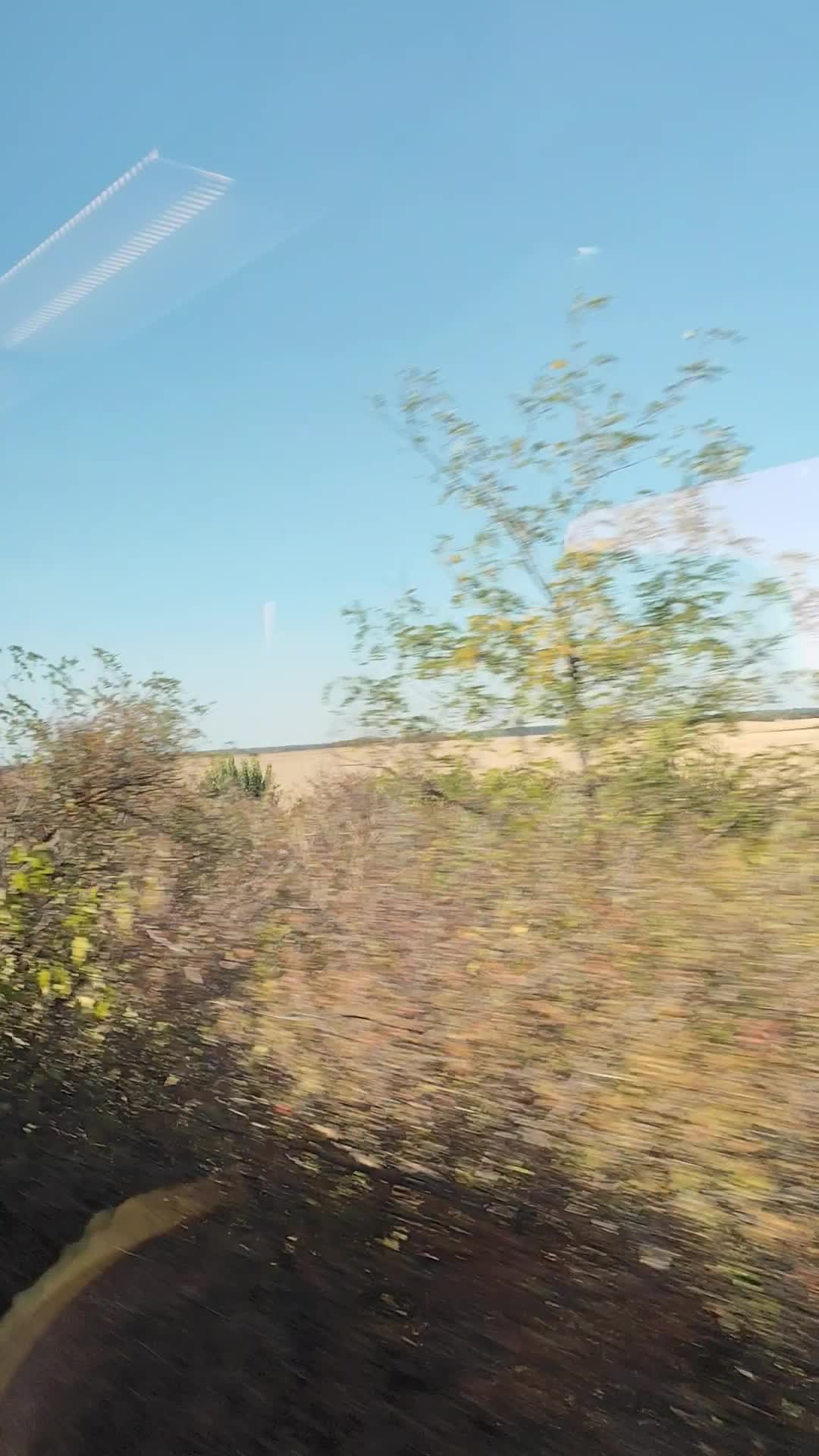 Video de @gupiuser902980