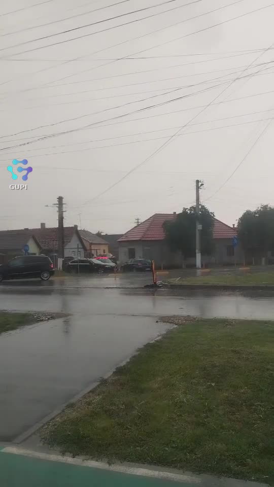 Video de @gupiuser19416