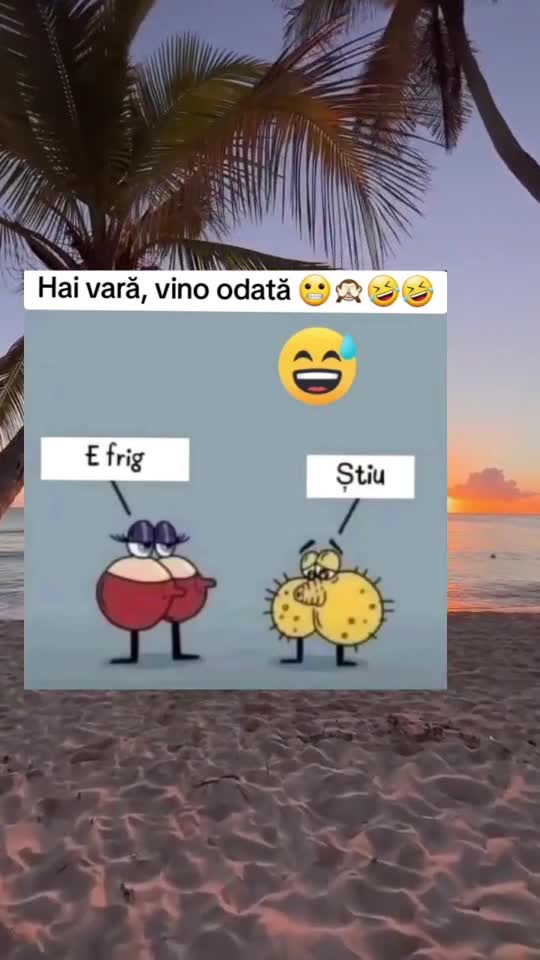 🇷🇴🤪🇷🇴#🇷🇴🤣🤣