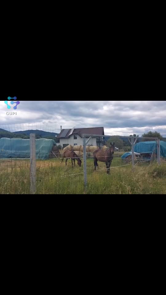 Video de @FLRica06