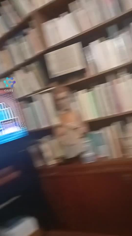 Video de @gupiuser158256