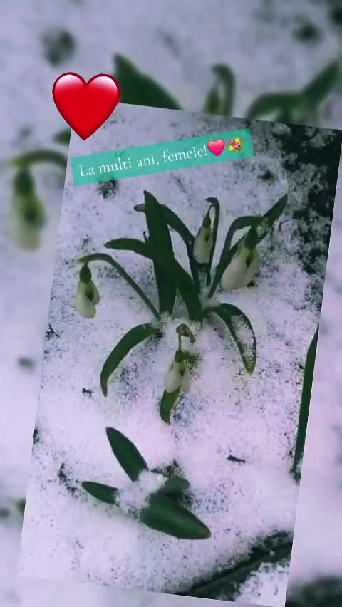 🦋 
 #❤️