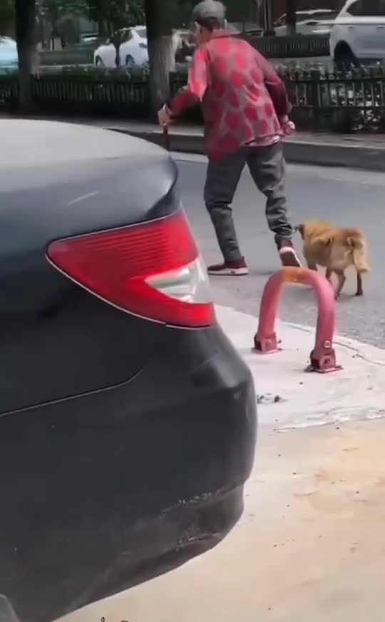 🤣🤣🤣