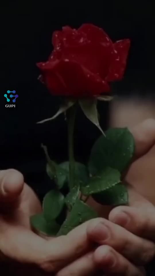 Video de @gupiuser164785