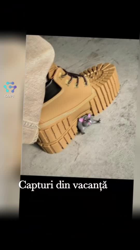 Video de @gupiuser144503