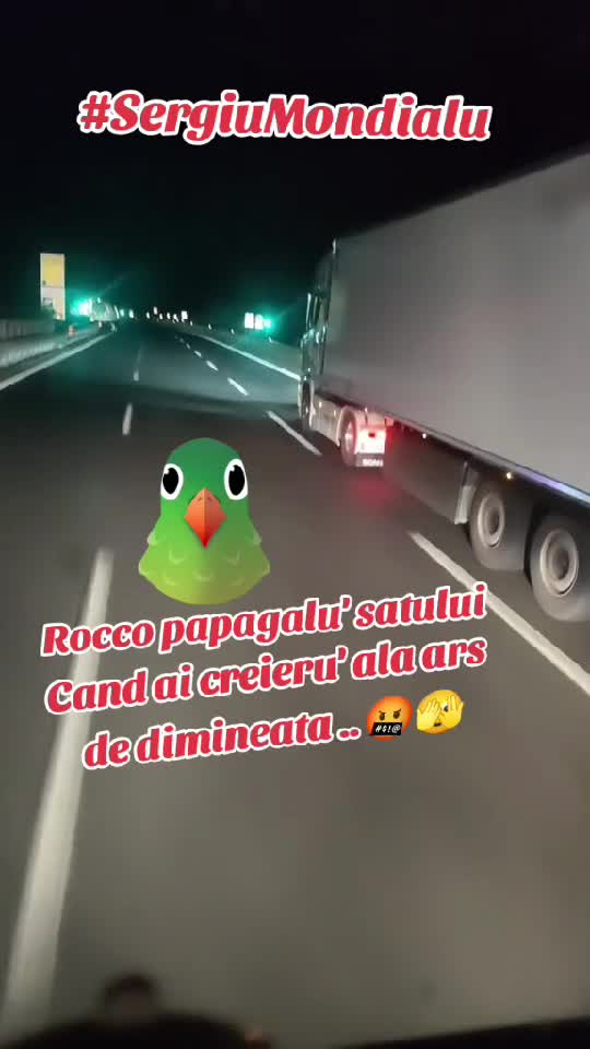 Dovada ca unii sunt "profesionisti" 🫣 Prafu dupa ei !!