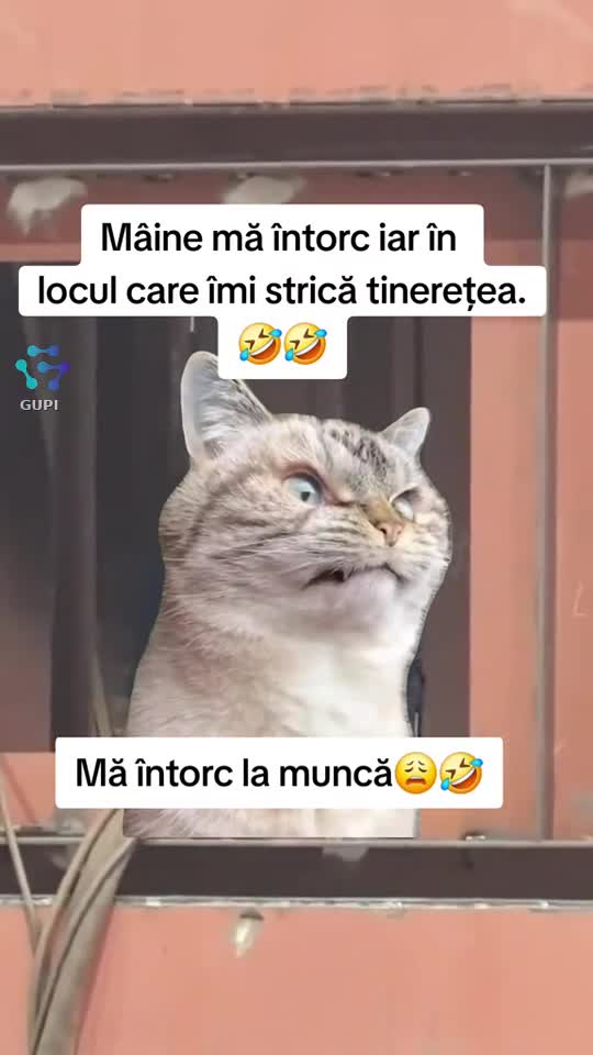 Video de @gupiuser165774
