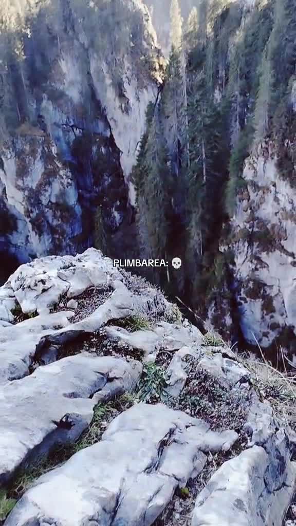 Lasă un follow dacă te ajuta o plimbare de genu 🫶