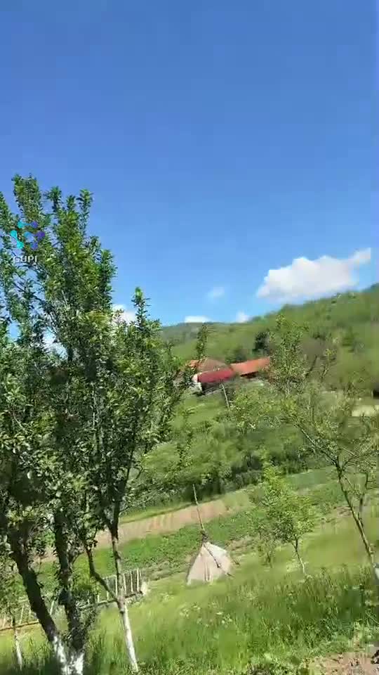 Video de @gupiuser147071