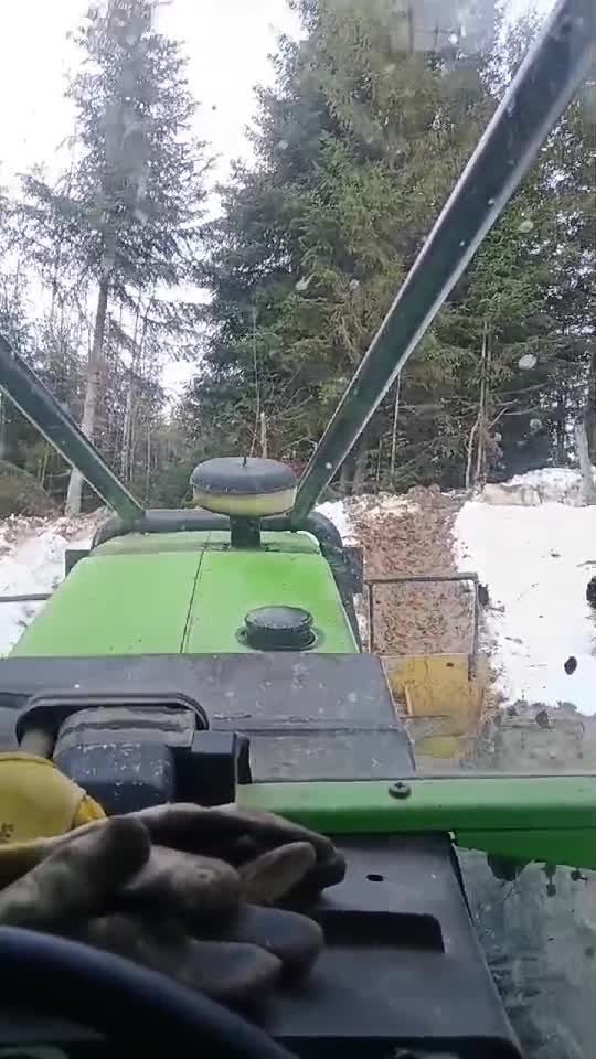 #forest