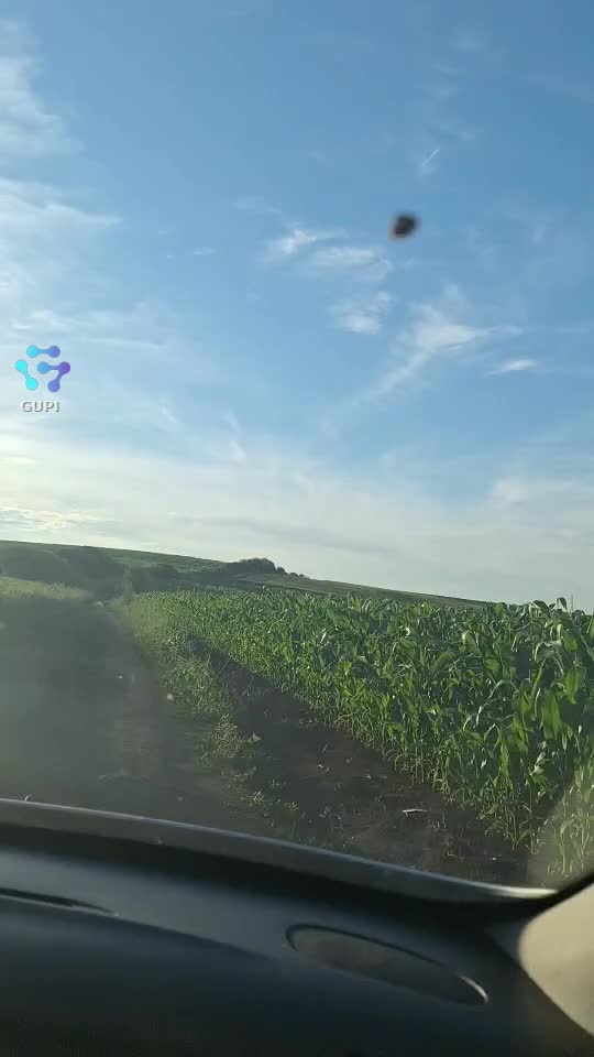 Video de @gupiuser241787