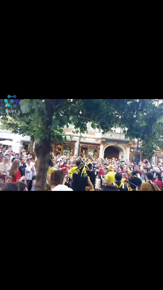 Video de @FLRica06
