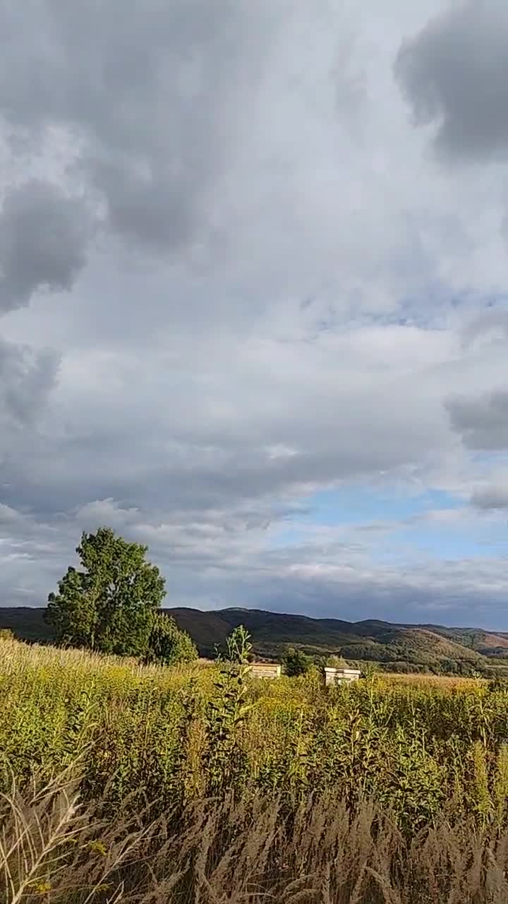Priveliștea de acasă!!