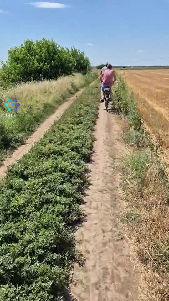 toti adormiti pe drum