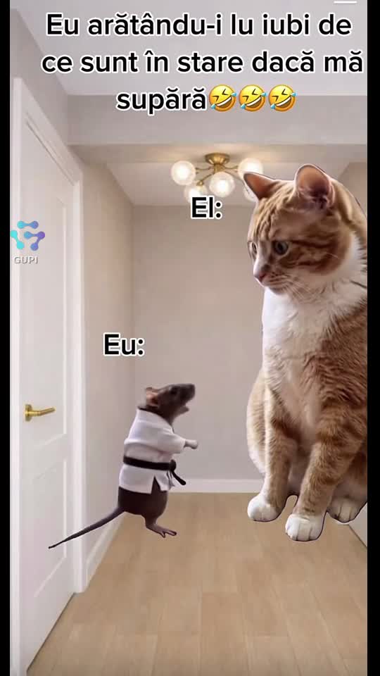 Video de @gupiuser143148