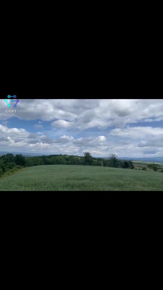 Video de @gupiuser162397