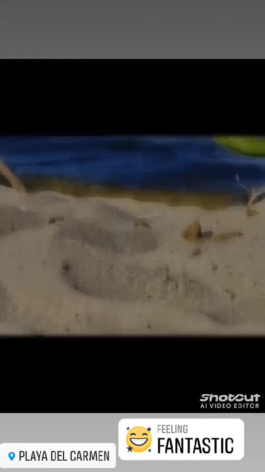 #Mexico