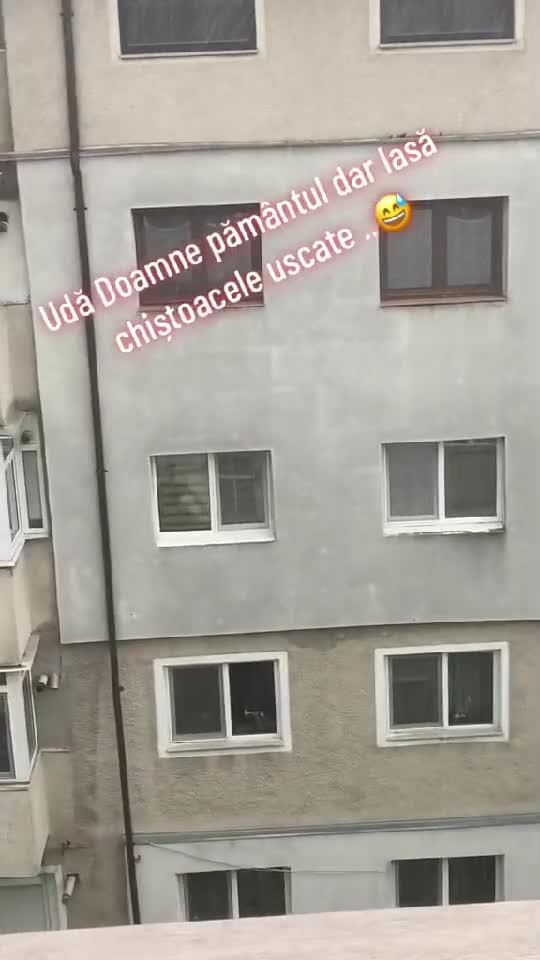 #bodo