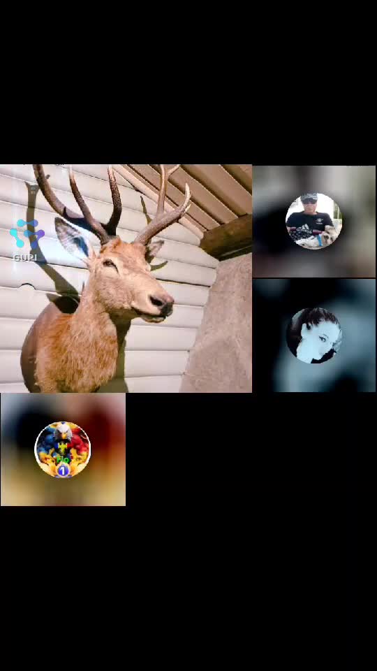 😺🐈😺|||{"overlays":[{"text":"😍","x":0.37326388888888884,"y":0.11165988547317668,"fontSize":48.0,"color":4294967295,"isEmoji":true}]}