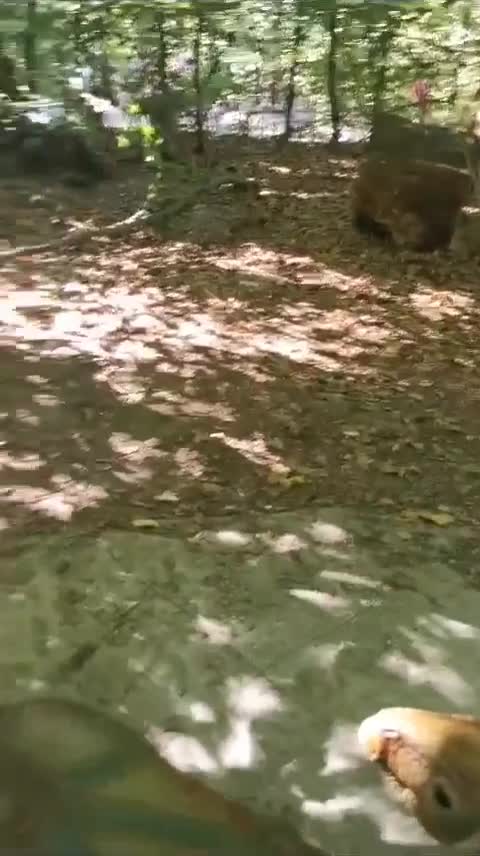 Bună tuturor! ❤️😘