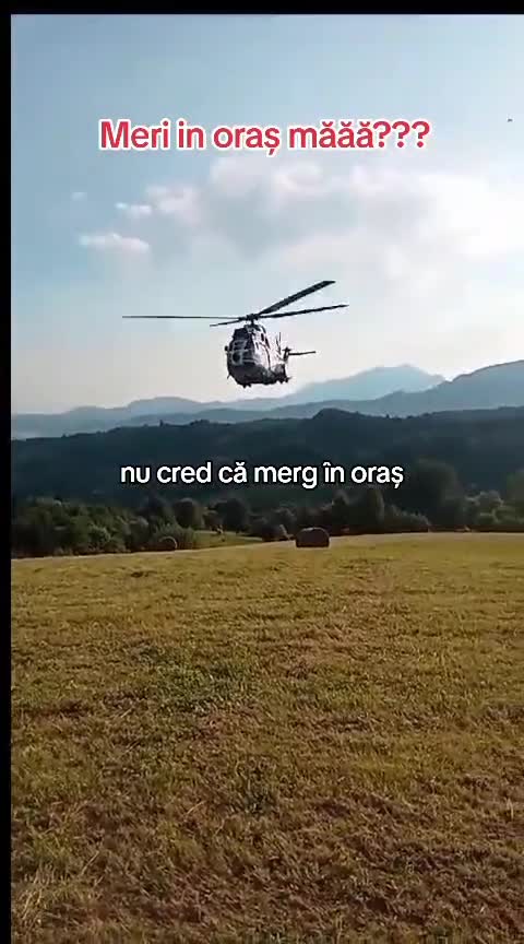 Mergi in oraș??? 
           #