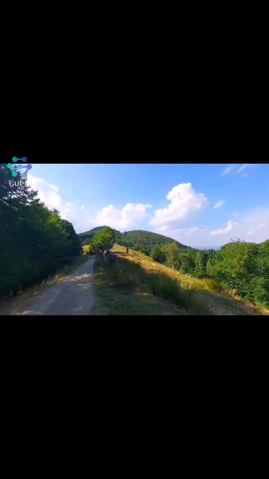 Video de @FLRica06