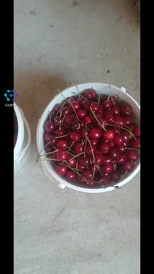 Video de @IcaVioo