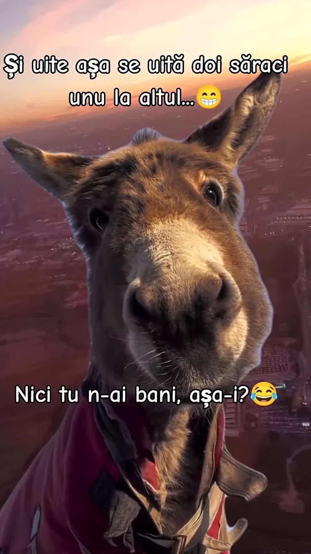 Video de @gupiuser1044847