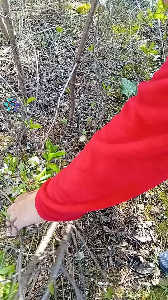 da nu sunt harnica eu😅😅😅