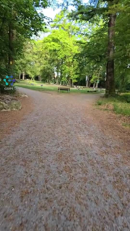 Guten Morgen!🍀🍀🍀🌳🌳🌳🦜🍃🍃🐦‍⬛🍀🍀🍀