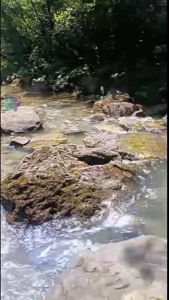 Video de @gupiuser162845