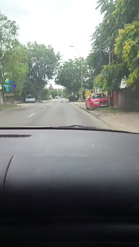 Video de @gupiuser122109