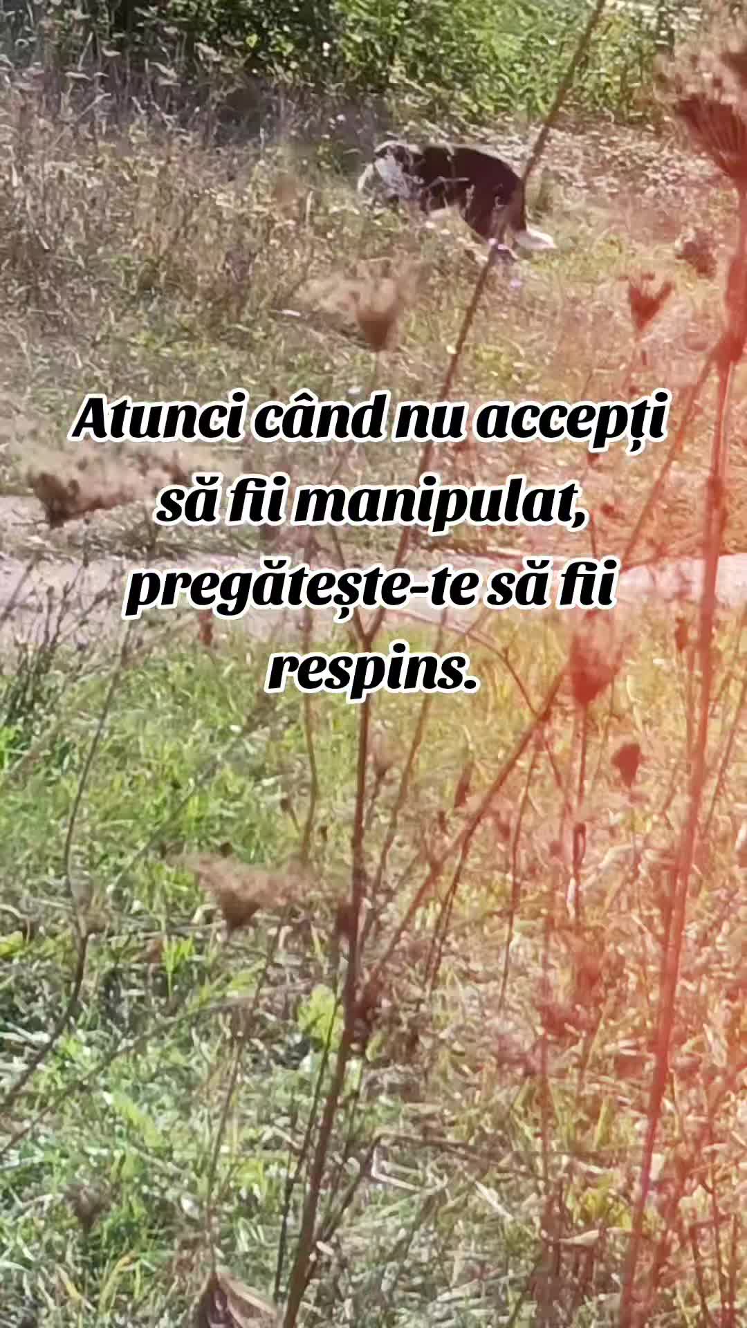 Video de @gupiuser144503