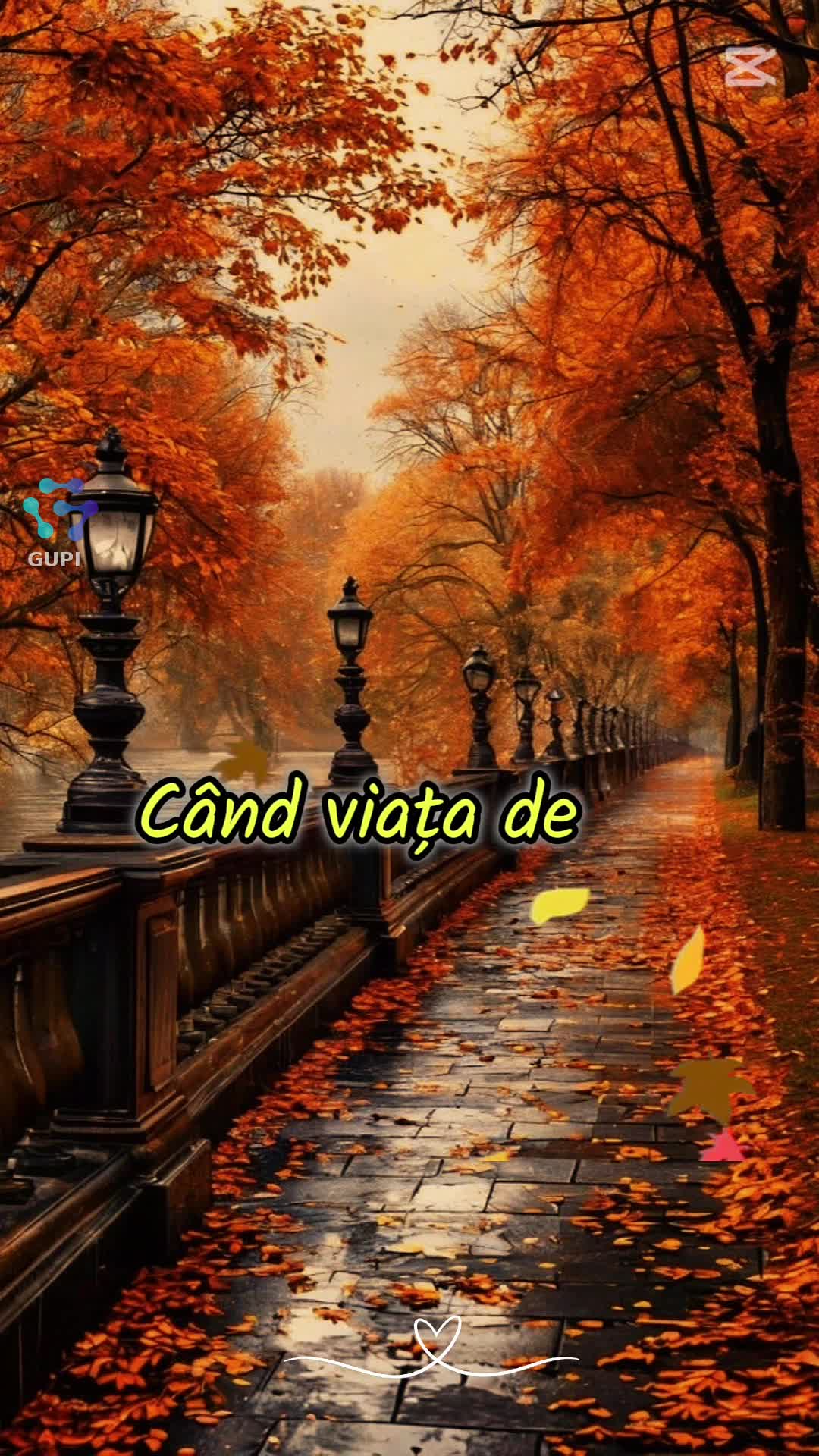 Video de @gupiuser1018533