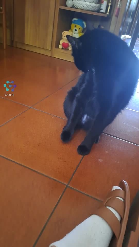 Video de @gupiuser154362