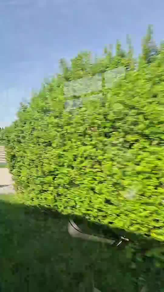 spre casă
