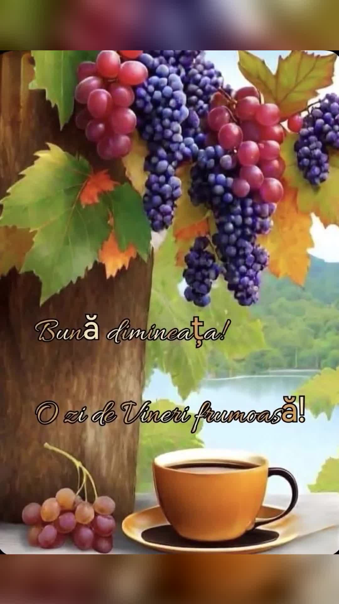 Video de @gupiuser1025545